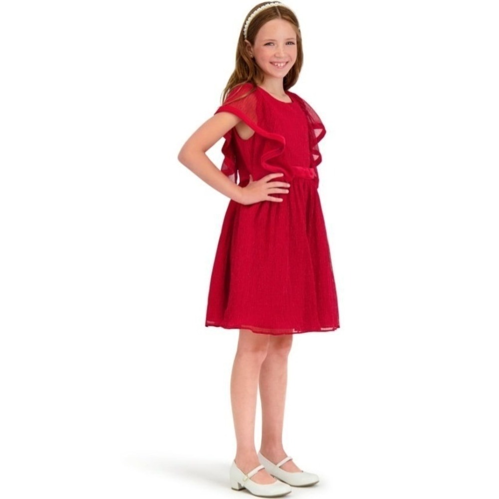 Kensie Girl Red Metallic Pleated Fit & Flare Dress Girls 14 New NWT‎
